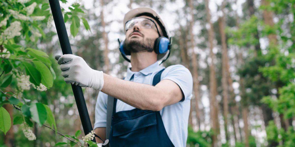 The application of specialized products can be extremely helpful in managing your trees.