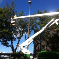 bucket-truck-tree-trimming-toronto