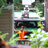 emergency-removal-of-a-large-dead-oak-in-toronto-13