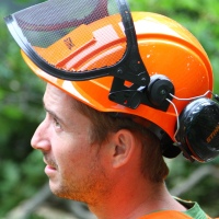 emergency-removal-of-a-large-dead-oak-in-toronto-16