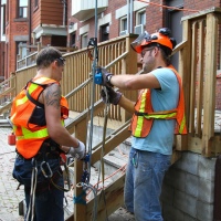 removal-of-a-large-dead-elm-004