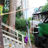 removal-of-a-large-dead-elm-005