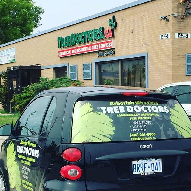 TreeDoctors service car near Toronto office