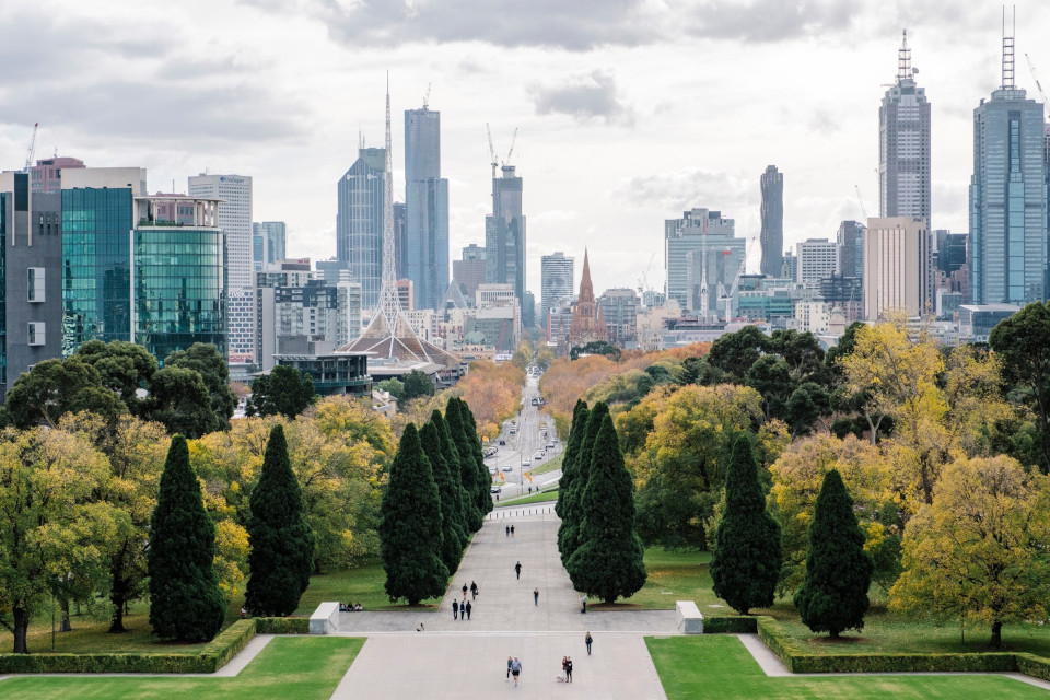 Tree Watering: Ensuring Optimal Growth in Toronto