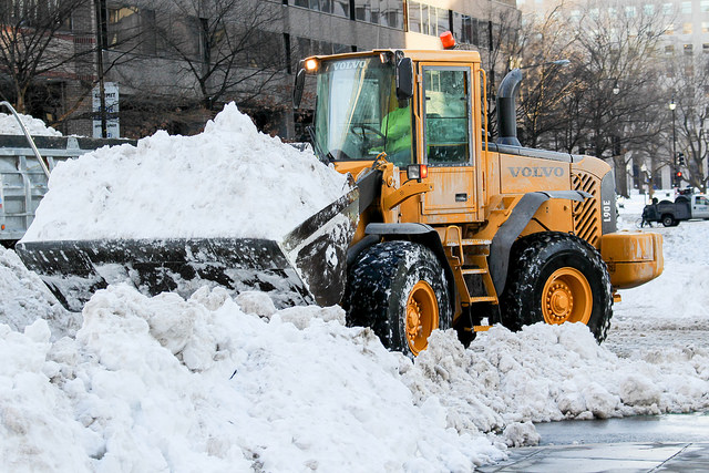 The Essentials In Winter Tree Maintenance