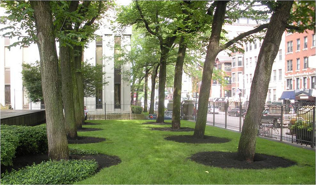 BENEFITS OF AIR SPADING FOR TREES