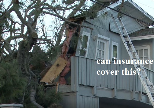 Can insurance cover for damages caused by trees?