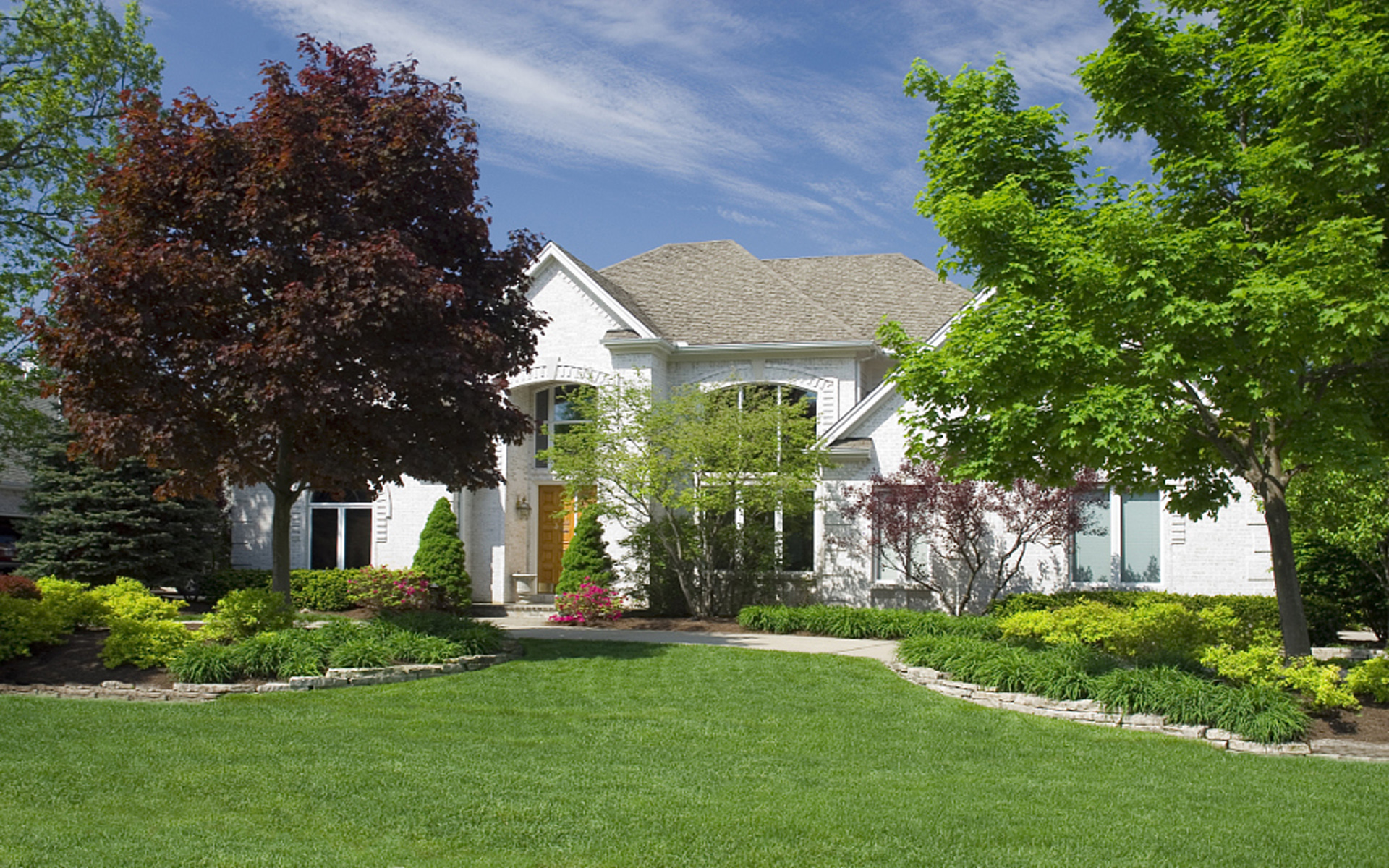 Pruning Trees in Spring