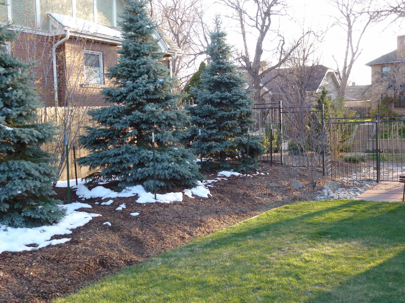Winter Mulching in Toronto