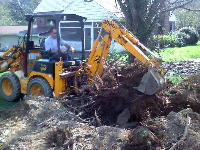 THINGS TO KNOW ABOUT TREE STUMP REMOVAL IN TORONTO