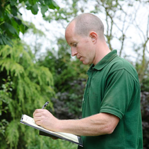 Toronto Tree Pest Report
