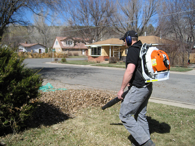Spring Yard and Garden Clean Up Services in Toronto