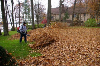 Fall Cleanup Services in Toronto