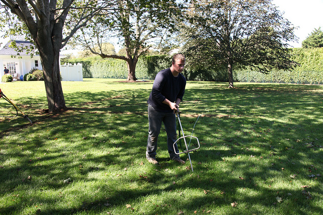 Deep Root Tree Fertilization in Fall