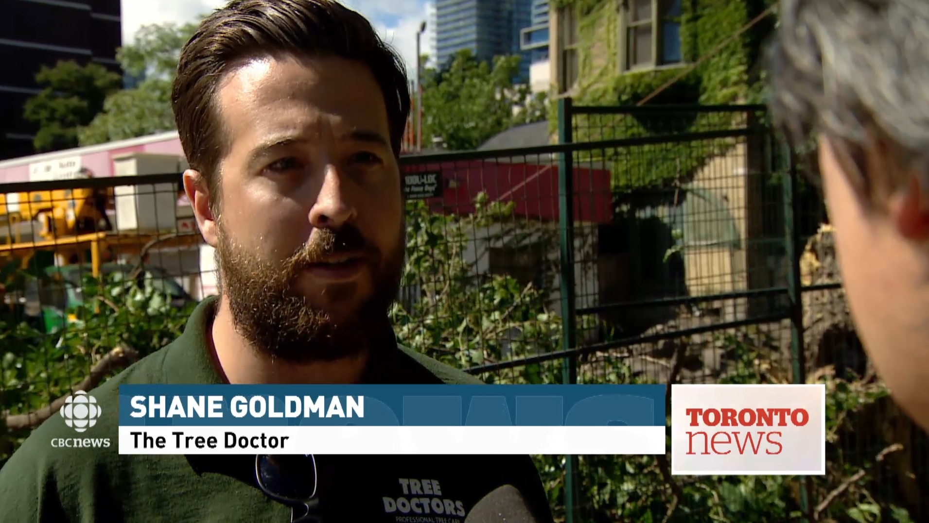 Our Company Was Featured at CBC News for Tree Related News