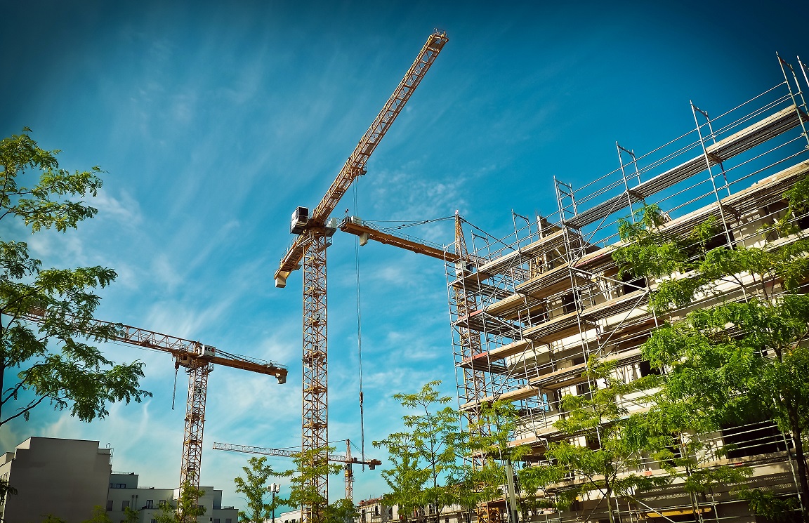 Tree safety on construction sites