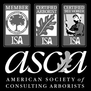 American Society American Arborists