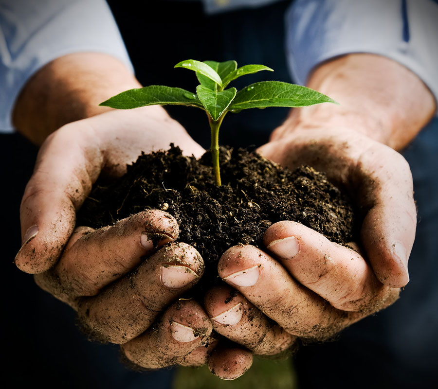 Tree Planting for Residents