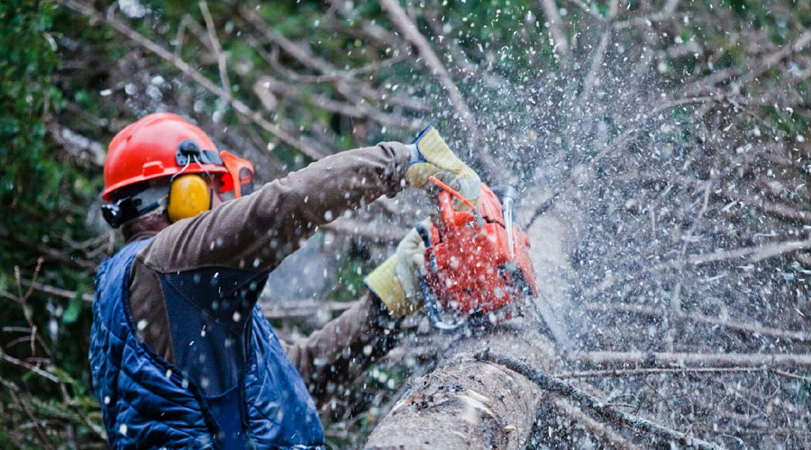 Construction Professionals
