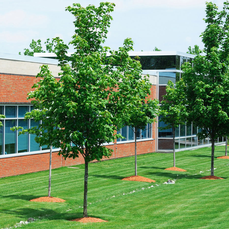 Top Benefits of Using Our Commercial Property Maintenance Services