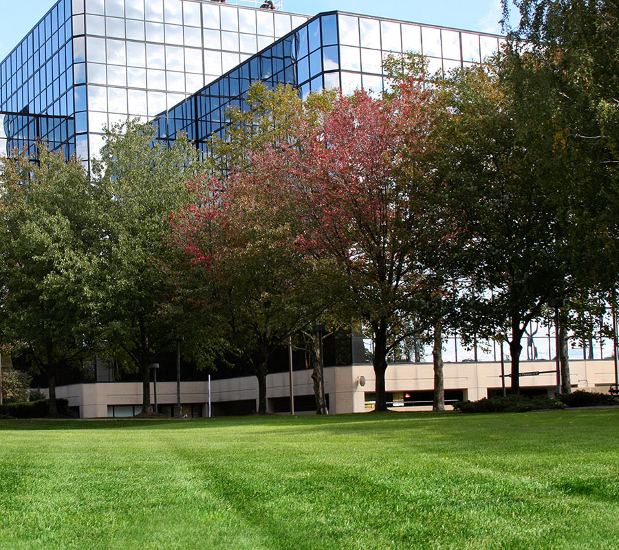 Tree Doctors is a Reliable Commercial Grounds Care Provider that Everybody Can Trust