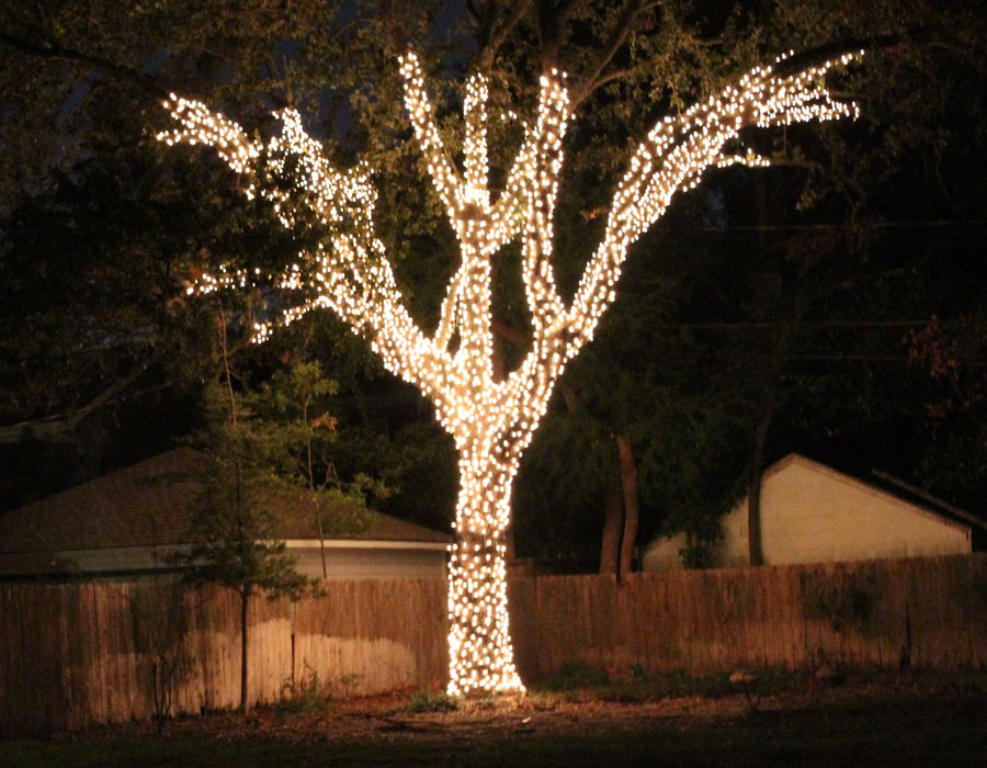 environmentally responsible approach to holiday decorating
