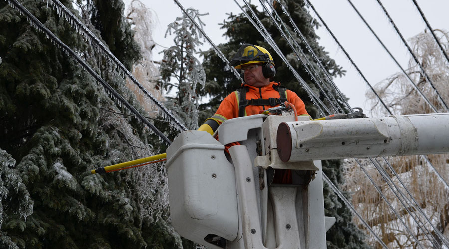Saving Damaged Trees