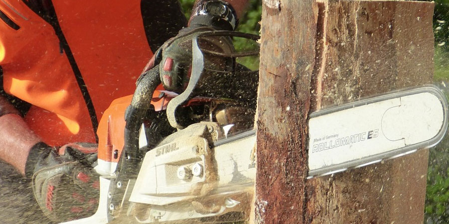 Professional Tree Removal