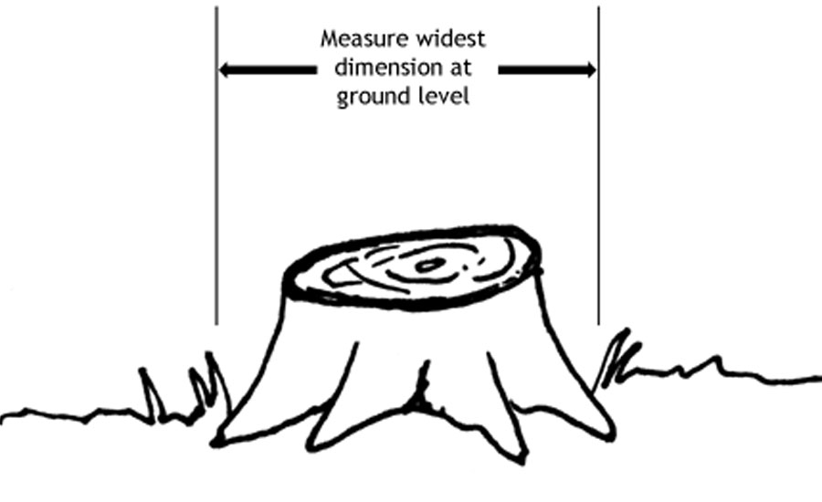 Types of Stump Removal