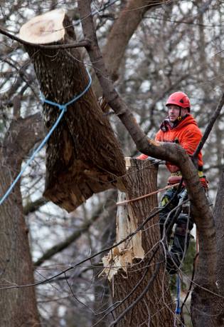 923055_633658080028427_260020307_n