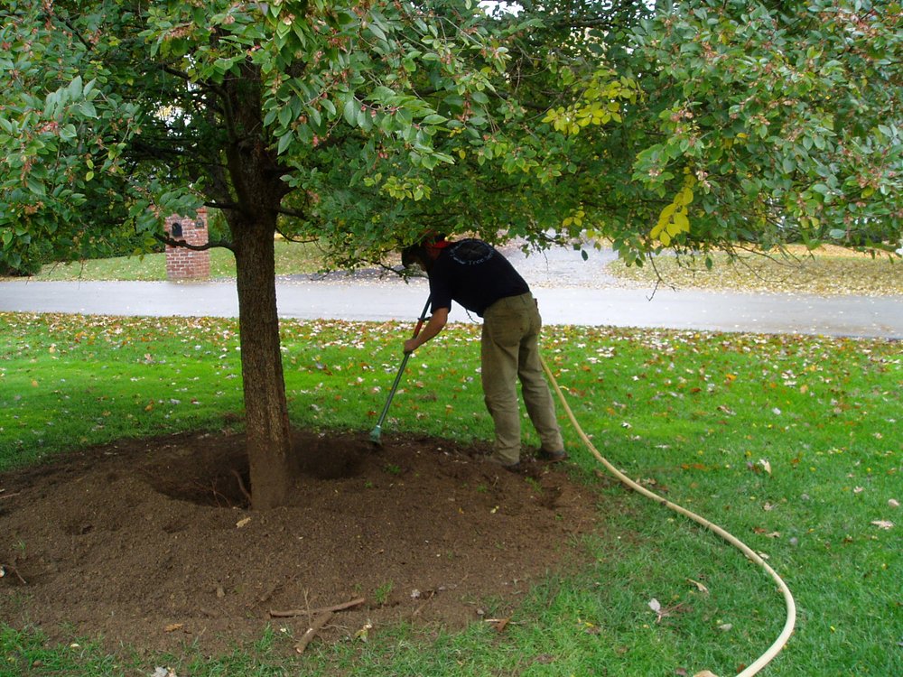 Aerating Tree Roots