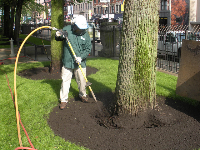 Air Spading Allows Arborists to Do their Work More Effectively