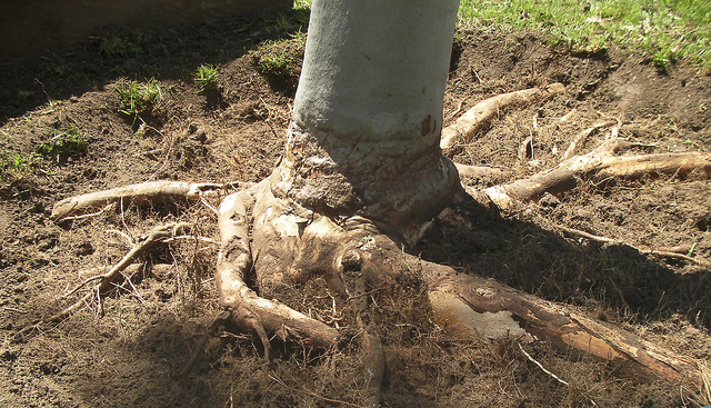 Air Spading Tools are Safe 2