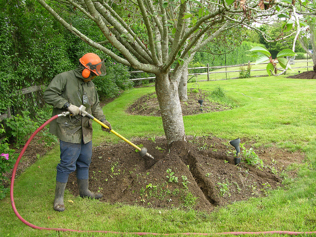 Air Spading for Trees Helps Arborists Save a Lot of Time