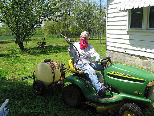 Choosing the Right Equipment for Tree Spraying