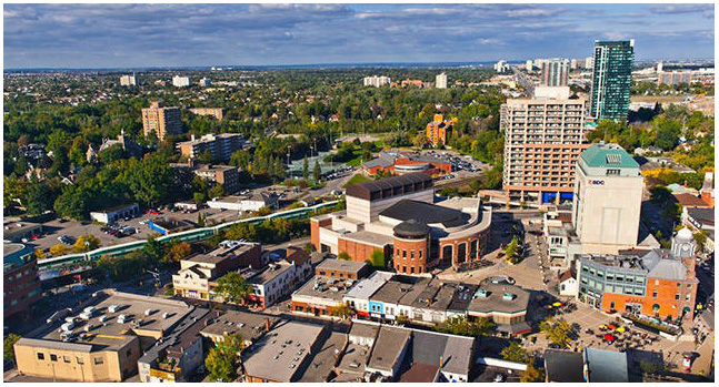 Tree Services in Brampton