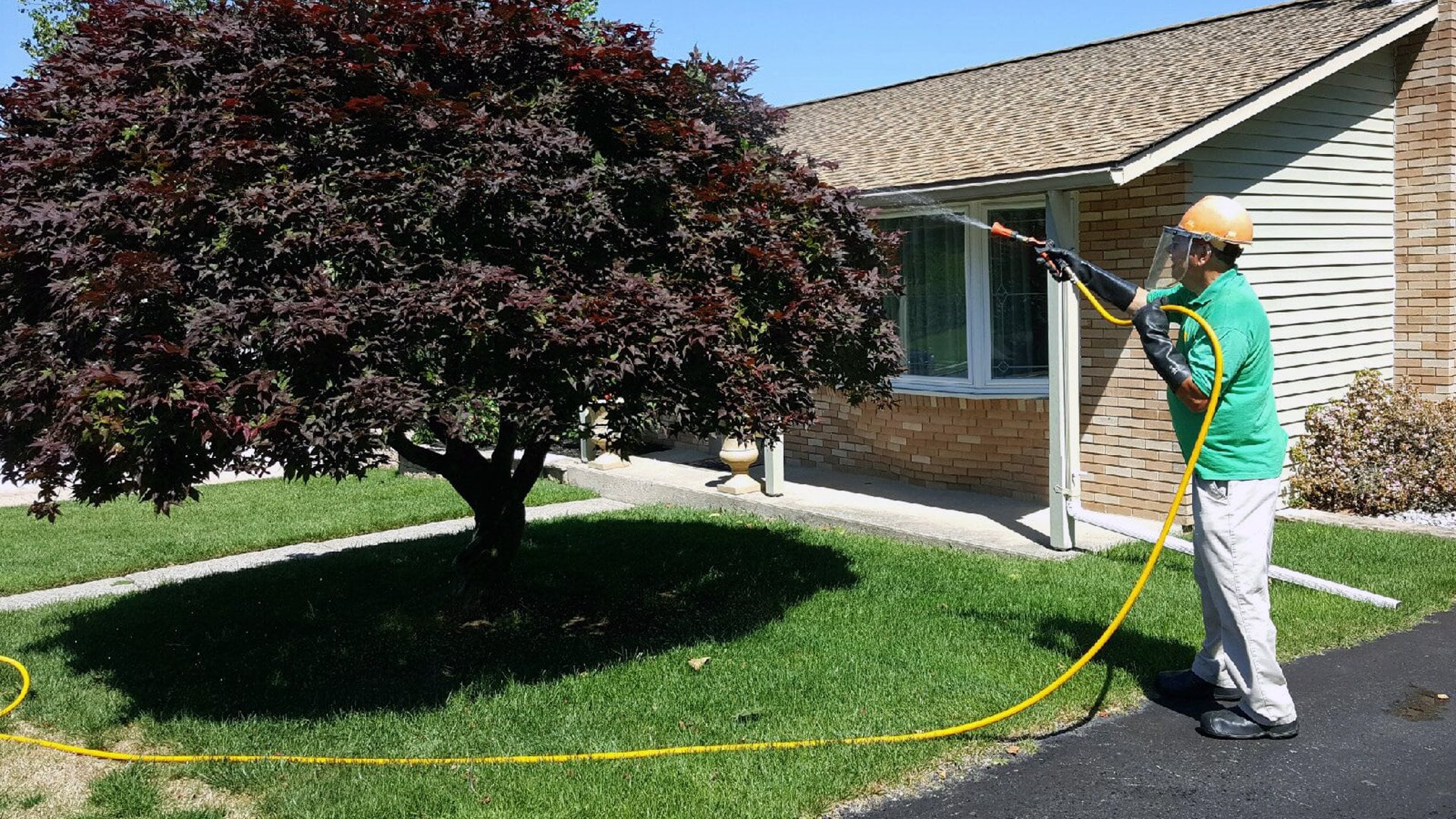 Contact Arborists from Tree Doctors for Tree Insect Control in Toronto!