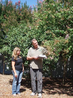 Contact Tree Doctors for an Arborist Reports and Consulting in Toronto