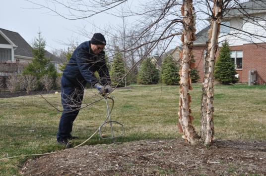 Deep Root Fertilization