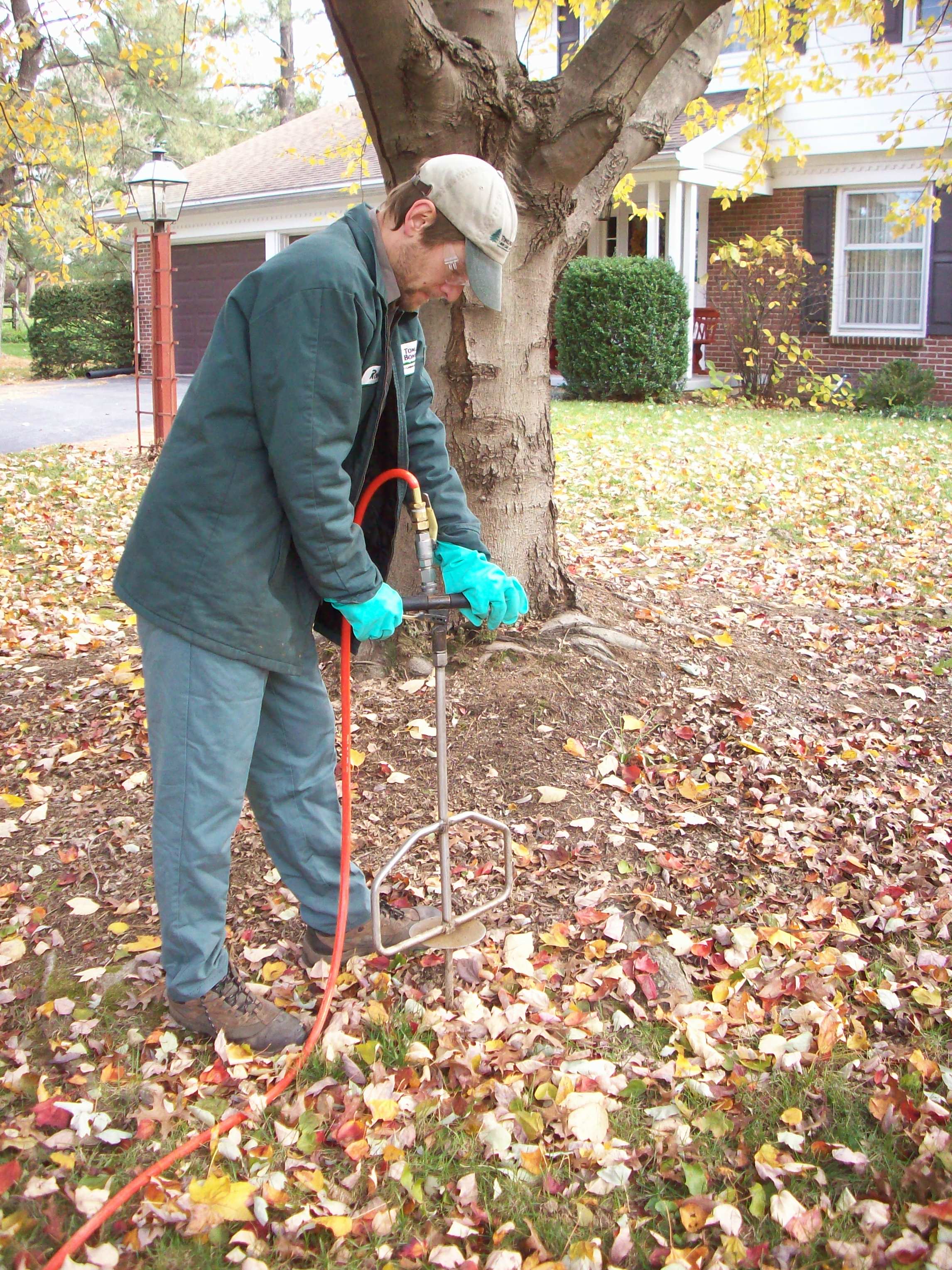 Fertilizing Trees in the Fall