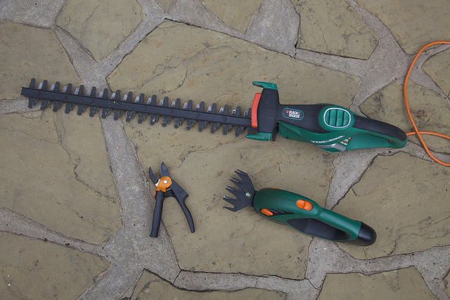 Prepare all the necessary tree pruning tools