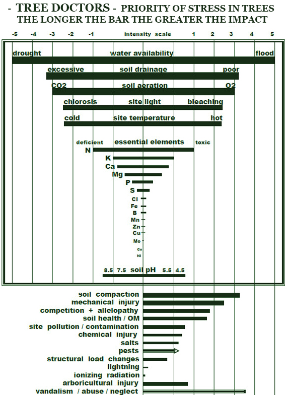 Soil Aeration Tree Doctors