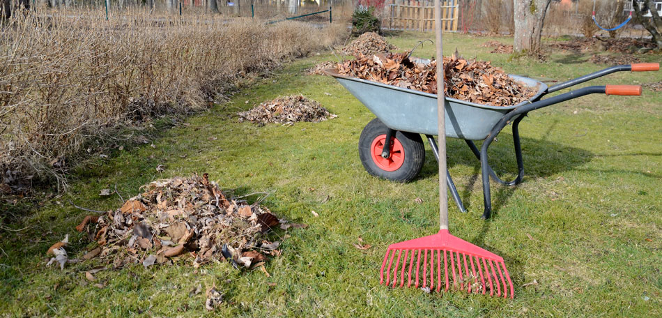 Spring Yard Garden Clean Up Services Toronto