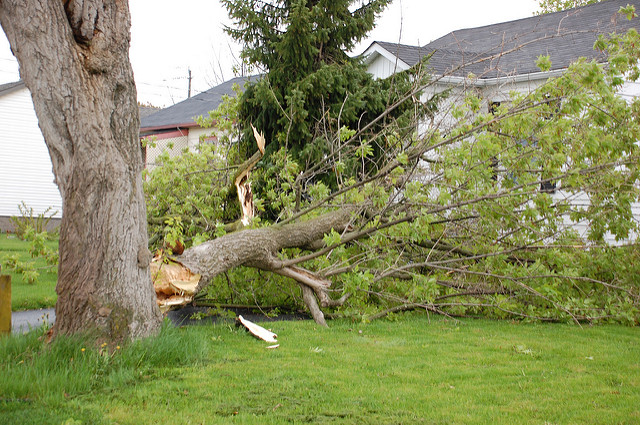 Storm Damage 4