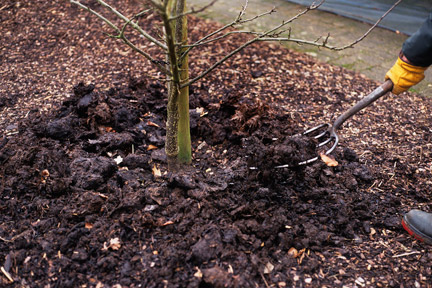 Tips for Applying Mulch