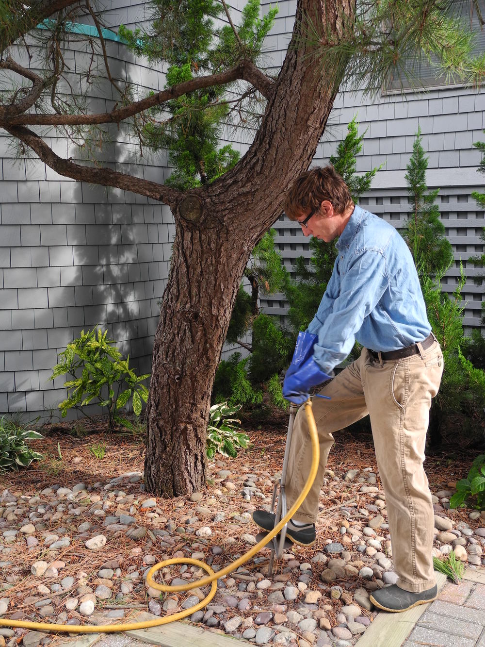 When You Need to Take Advantage of Deep Root Tree Fertilizing