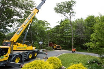 Tree Doctors Offers a Wide Range of Tree Services to Property Management Companies in Toronto