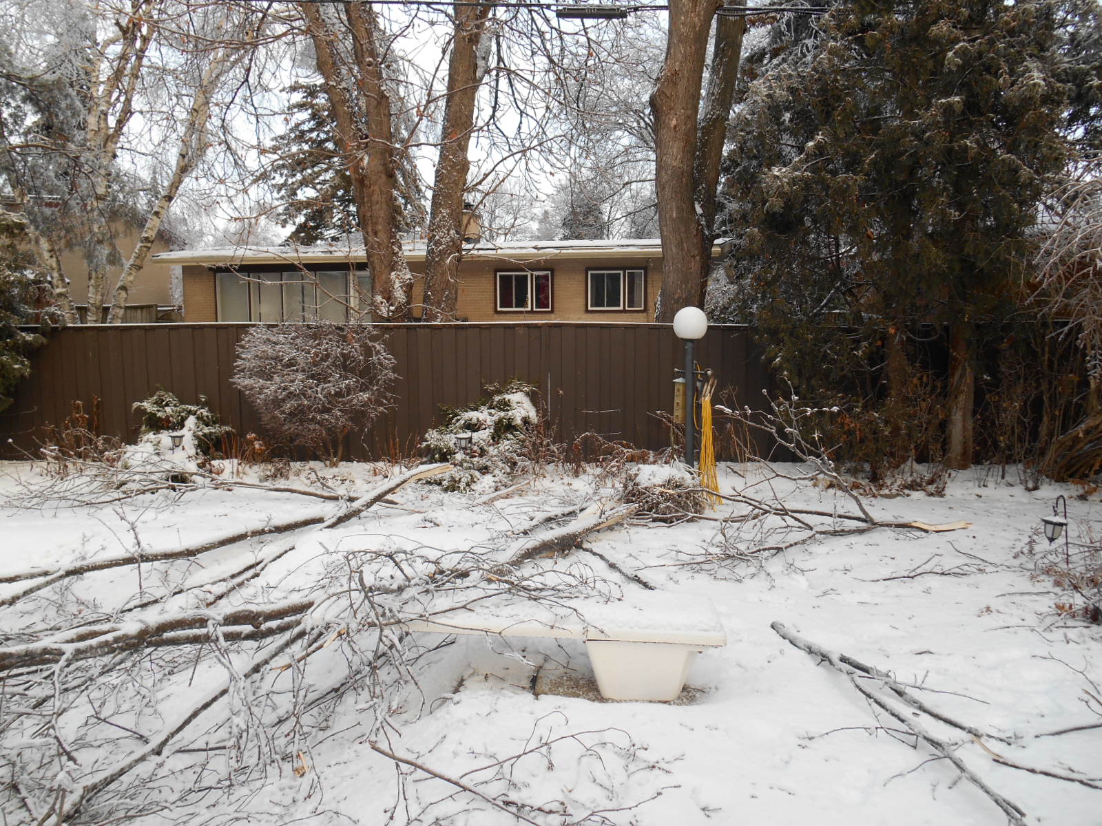Tree Restoration after Winter Storms
