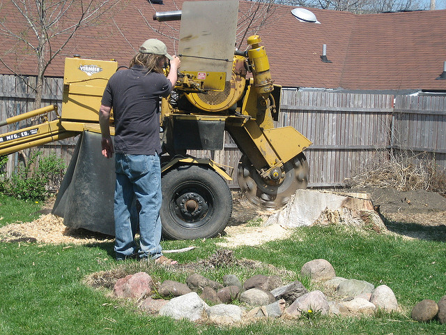 Tree Stump Removal Methods