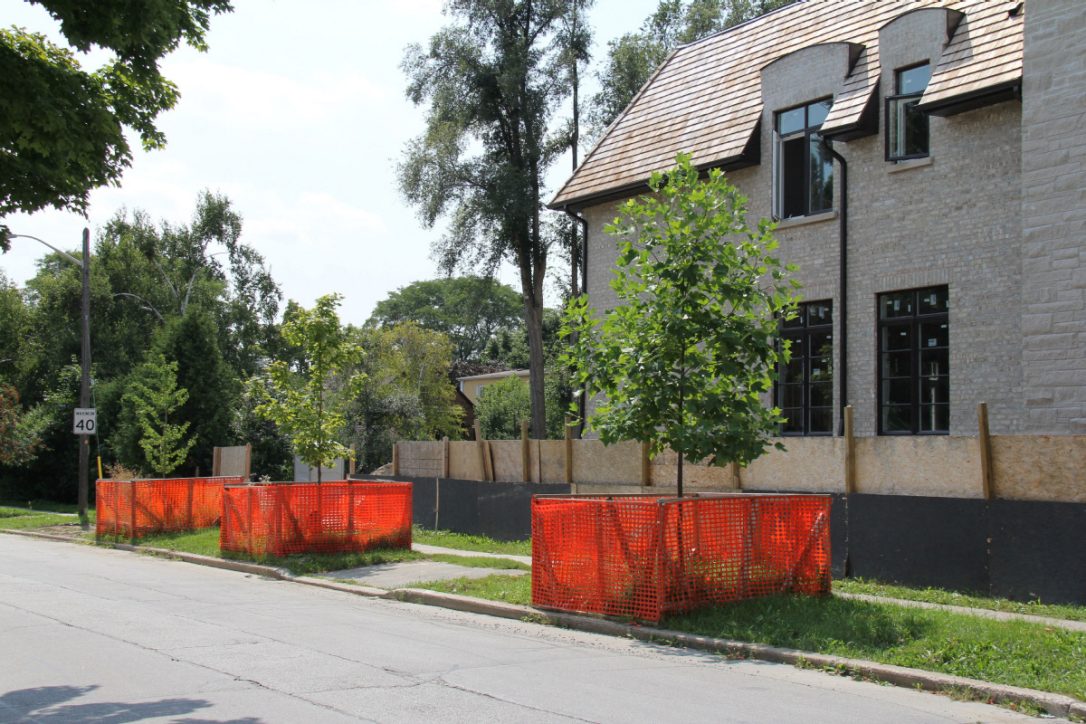 Trees on Your Property Can be Removed, Preserved or Protected with Injury